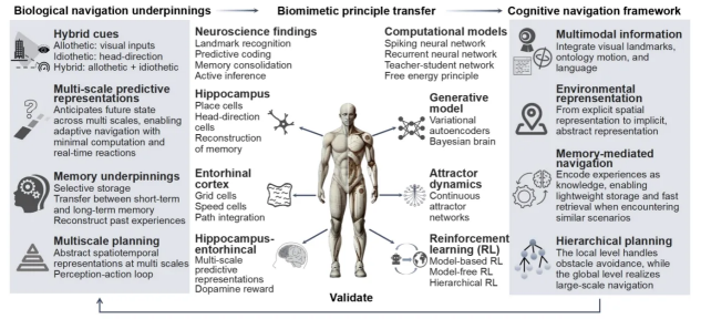 NPU Achieves Breakthrough in Embodied Intelligence: Enabling Robots to ...